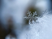 Beugen Sie Frostschäden frühzeitig vor, sonst kann es teuer werden. Bild: Free P Beugen Sie Frostschäden frühzeitig vor, sonst kann es teuer werden. Bild: Free P